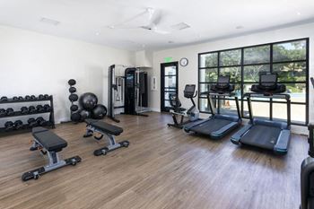 The gym is equipped with weights and cardio equipment